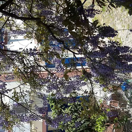 Cunda Altay Hotel * Ayvalı