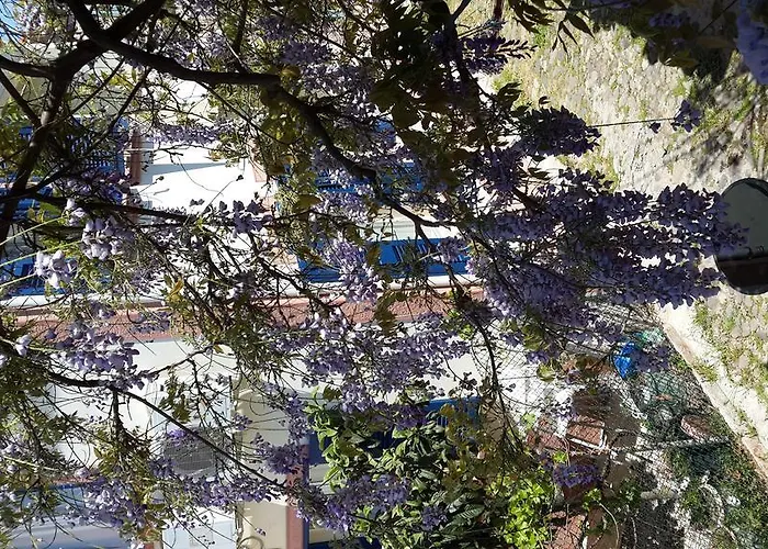 Cunda Altay Hotel * Ayvalı